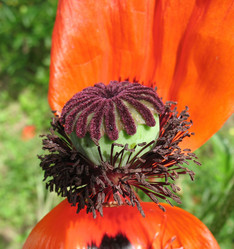 Similar image 7662204