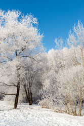 Similar image 7662222