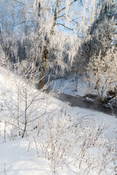 Similar image 7662224