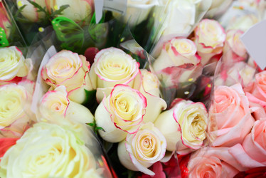 Similar image 7662240