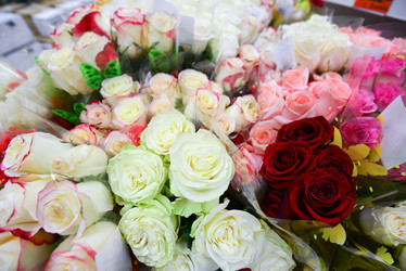 Similar image 7662241