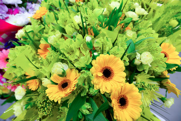 Similar image 7662243