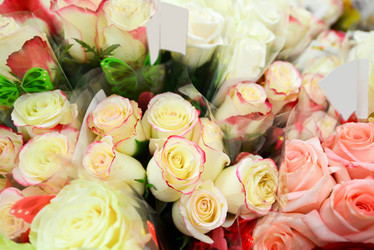 Similar image 7662248