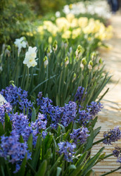 Similar image 7662265