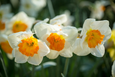 Similar image 7662266