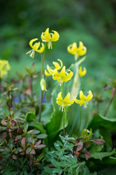 Similar image 7662269