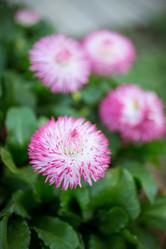 Similar image 7662271