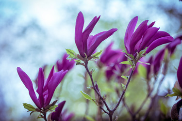 Similar image 7662272