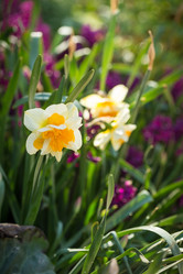 Similar image 7662273