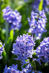 Similar image 7662274