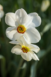 Similar image 7662275