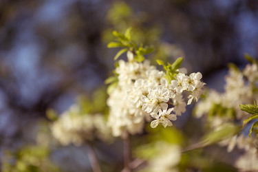 Similar image 7662276