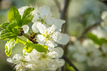 Similar image 7662277