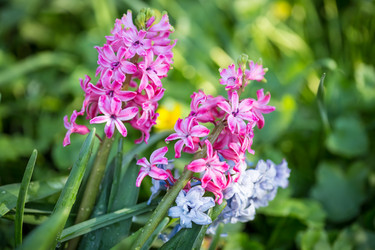 Similar image 7662278