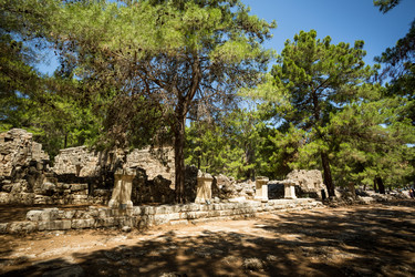 Similar image 7662282