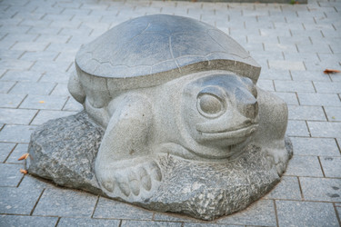 Similar image 7662286