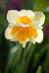 Similar image 7662291