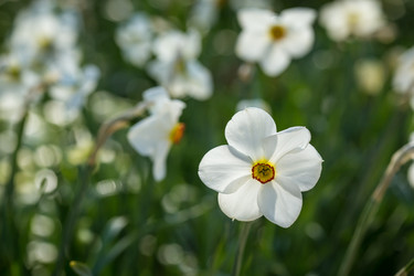 Similar image 7662292