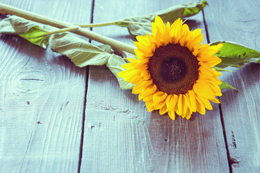 Similar image 7662300