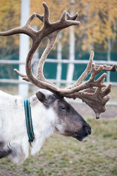 Similar image 7662301