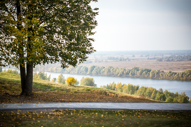 Similar image 7662303