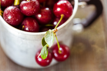 Similar image 7662304