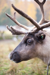 Similar image 7662306