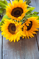 Similar image 7662309