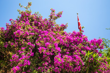 Similar image 7662314