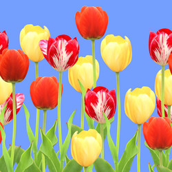 Similar image 7662319