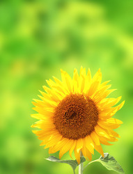 Similar image 7662327