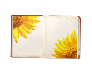 Similar image 7662328