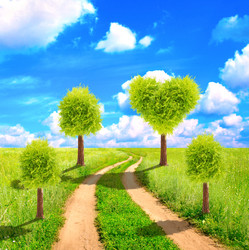 Similar image 7662329