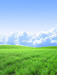 Similar image 7662331