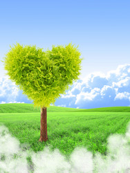 Similar image 7662332