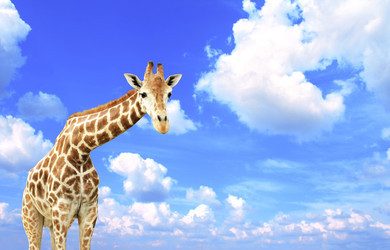 Similar image 7662335