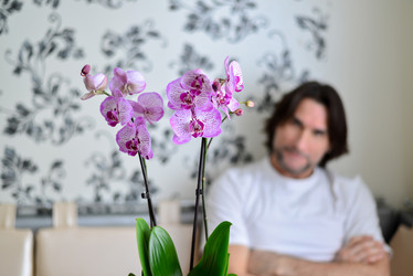 Similar image 7662404