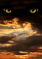 Similar image 7662411