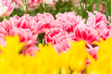 Similar image 7662422