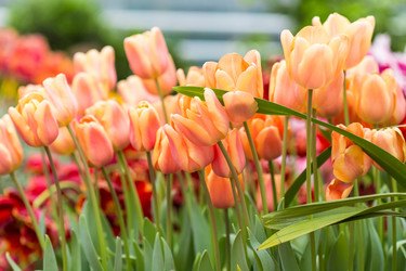 Similar image 7662424