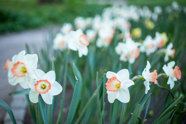 Similar image 7662426