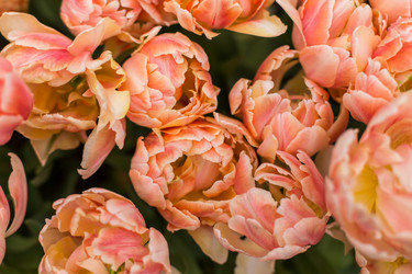 Similar image 7662430