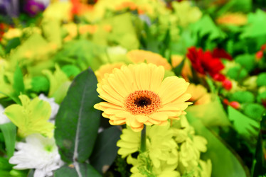 Similar image 7662437