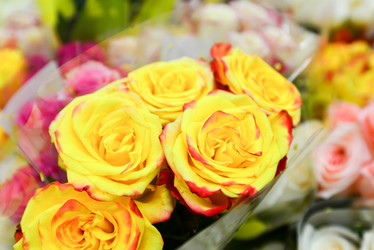 Similar image 7662449