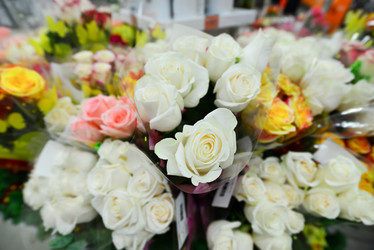 Similar image 7662450