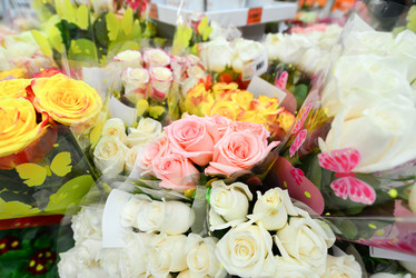 Similar image 7662451