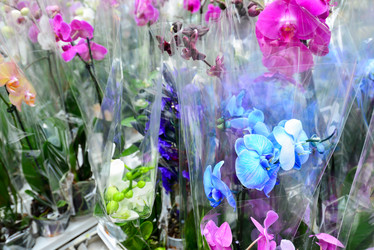 Similar image 7662479