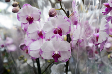 Similar image 7662480