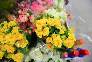 Similar image 7662493