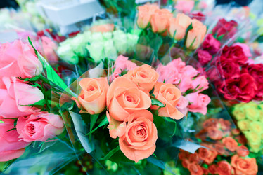 Similar image 7662498